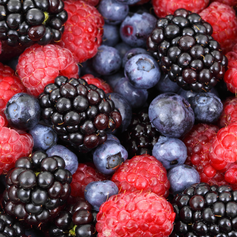 Collection de petits fruits : myrtilles, framboises, groseilles et plus, prêts à être récoltés dans votre jardin.