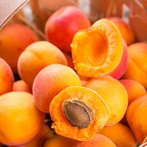 Chair et récolte abondante de délicieux abricots Tardif de Tain Rouge