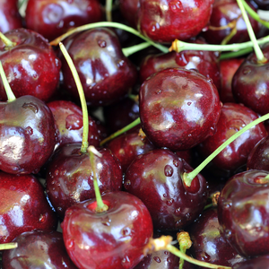 Récolte généreuse de savoureuses cerises Bigarreau Sweetheart fraîches