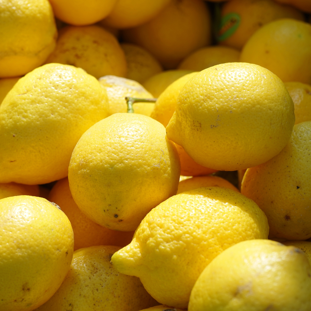 Récolte régulière de citrons 4 saisons, idéale pour une utilisation fraîche tout au long de l'année.