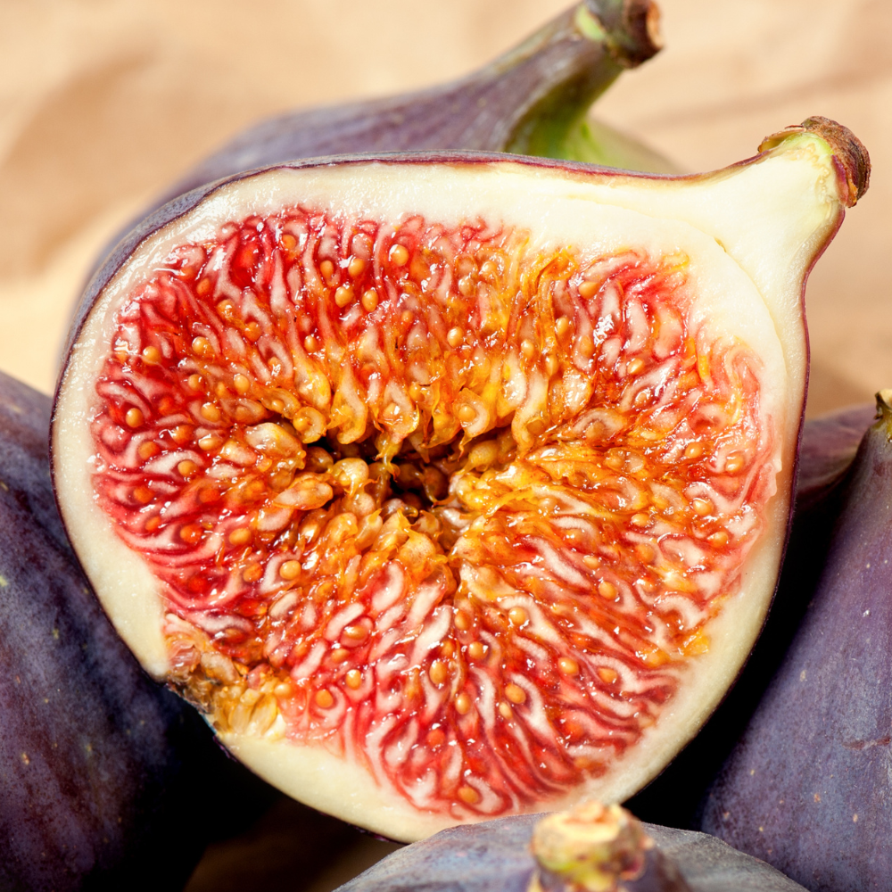 Chair sucrée et tendre des figues Brown Turkey à maturité