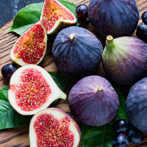 Récolte abondante de figues Ronde de Bordeaux fraîchement cueillies