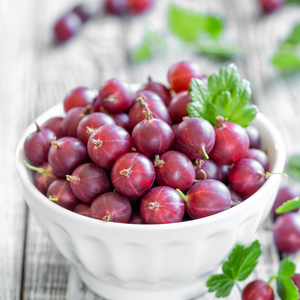 Savoureux groseilles Hinnonmaki Rouge bien fraîches