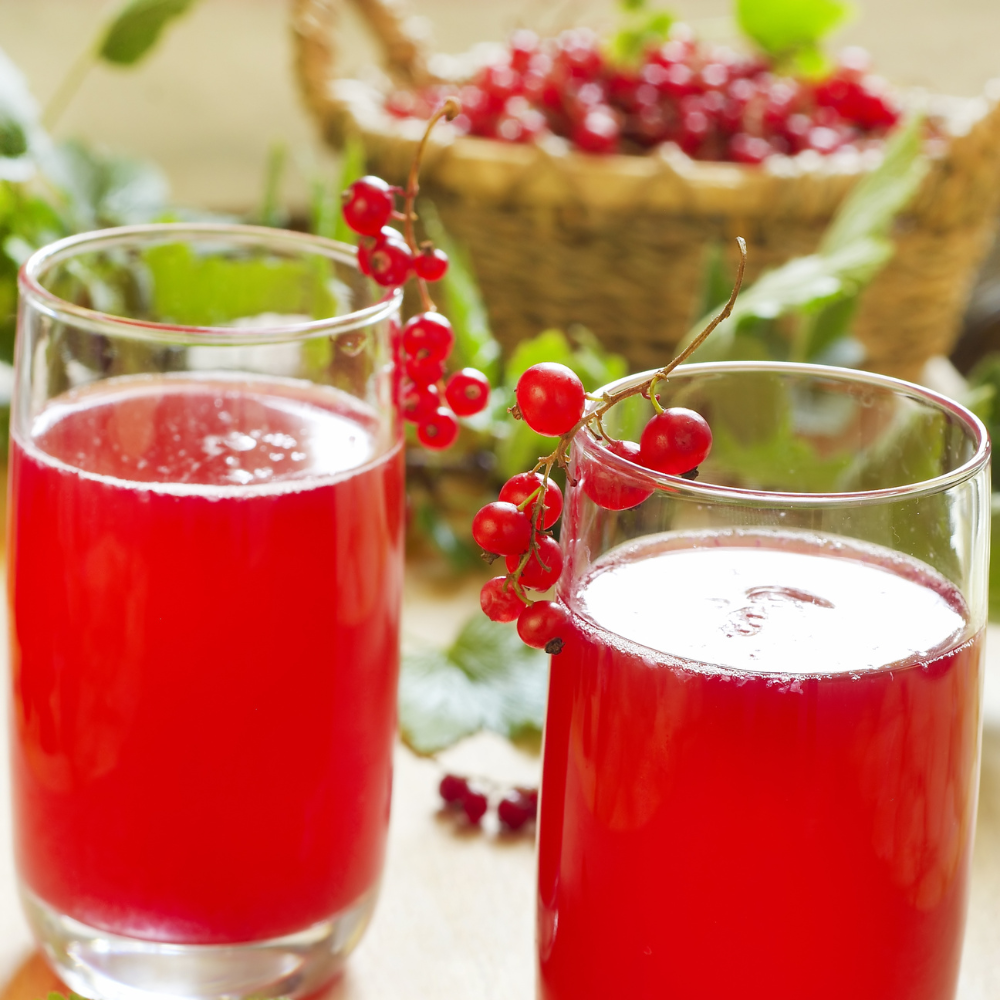 Savoureux jus préparé avec des groseilles Jonkher Van Tets bien fraîches