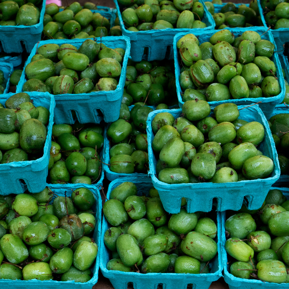 Récolte généreuse de kiwis Issai, parfaits pour être dégustés frais ou ajoutés à des salades de fruits.