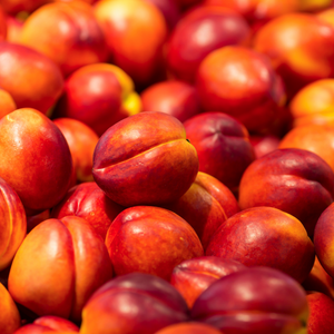 Récolte généreuse de nectarines Fantasia fraîchement cueillies, prêtes à être dégustées