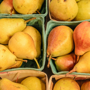 Récolte généreuse de poires Williams, parfaites pour des desserts gourmands, des salades de fruits ou des confitures maison.
