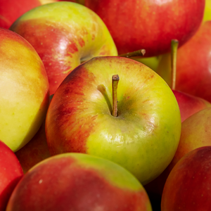 Récolte généreuse de pommes Elstar, idéales pour des tartes, compotes et salades de fruits.
