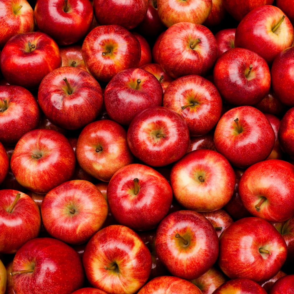 Récolte généreuse de pommes Gala, idéales pour des tartes, compotes et collations saines.
