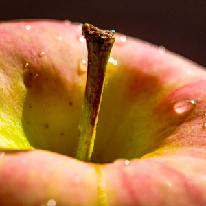 Pomme Melrose, idéale pour des tartes, compotes et desserts gourmands.
