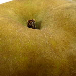 Chair de la Pomme Reinette Grise du Canada, idéales pour des tartes, compotes et desserts cuits.
