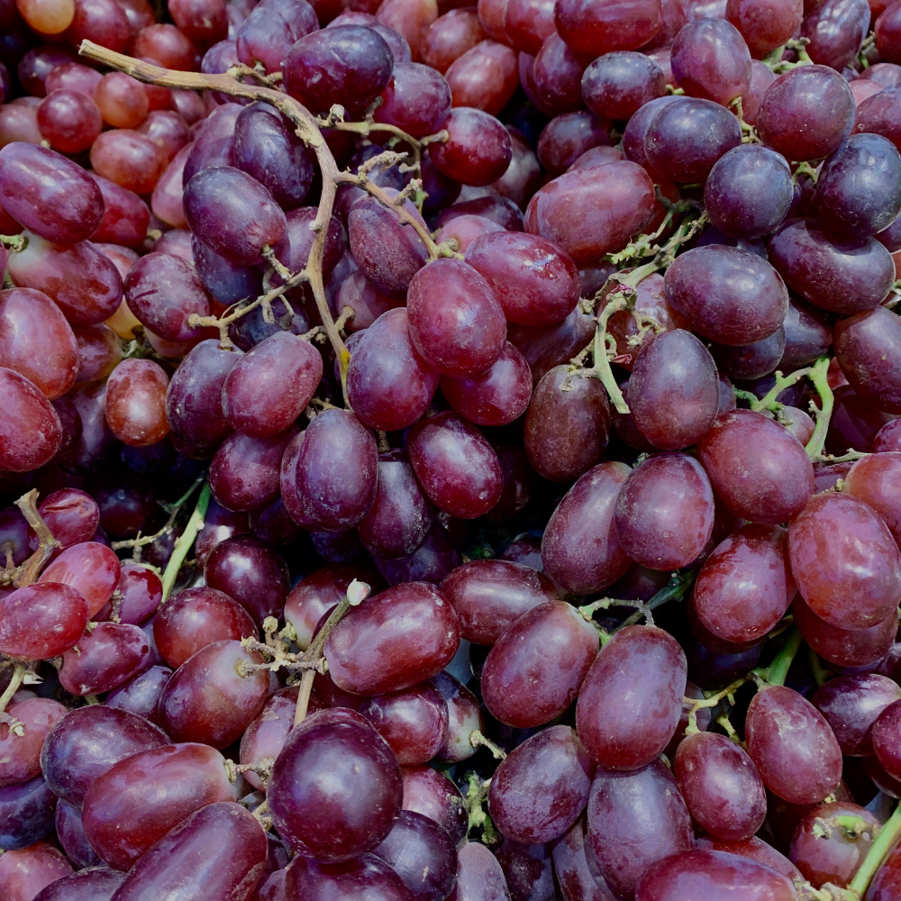 Récolte généreuse de raisins Cardinal, idéaux pour des collations saines, des desserts et la consommation immédiate.
