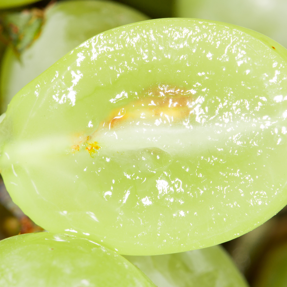 Chair tendre et juteuse des raisins Italia, idéale pour des plats sucrés ou à savourer directement.